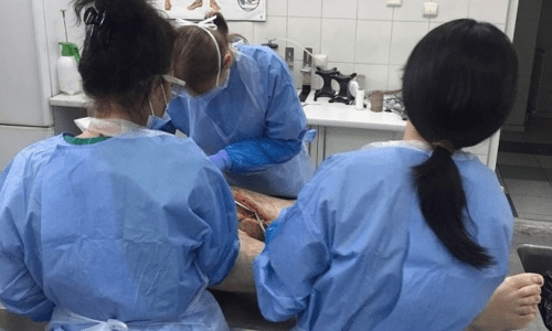 Balsamacja zwłok kurs Technika sekcji zwłok